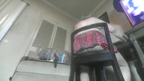 Paulvert online show from November 26, 11:45 pm