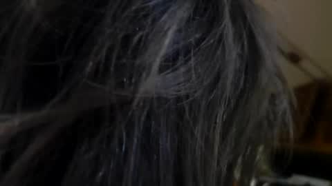 Pavone splash online show from November 23, 4:54 am