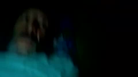 Pavone splash online show from February 13, 9:23 am