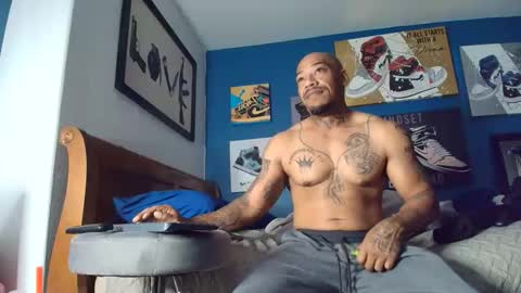 Phenomenal online show from November 21, 11:41 am