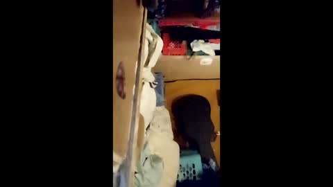 BTW online show from April 9, 6:06 am