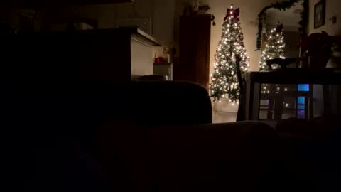 penessy47 online show from December 19, 10:55 am