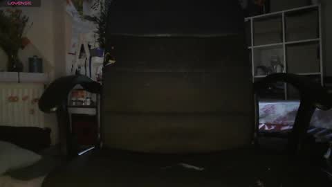 peregrintpelfox online show from November 30, 8:32 am