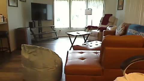 perfecto1957 online show from September 16, 4:54 pm