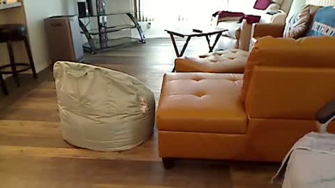 perfecto1957 online show from March 4, 2:21 pm