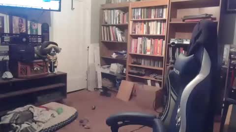 peterinohio57 online show from October 22, 11:45 am