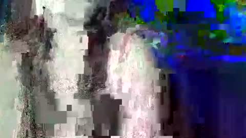 Carol online show from June 9, 3:01 pm