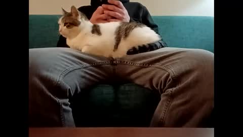 pinkpulseglobal online show from February 7, 1:19 am