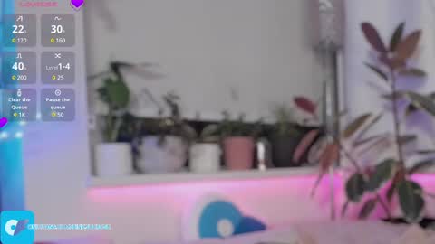 PinkSucrose online show from February 25, 5:41 am