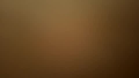 pjp34 online show from September 9, 2:11 am