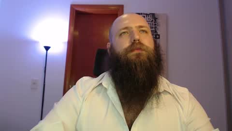 Bear online show from February 23, 5:12 am