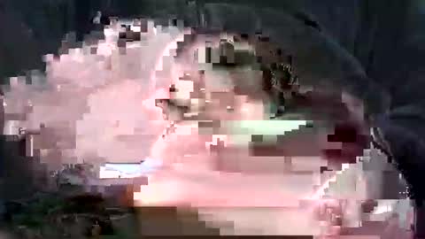 poletttino online show from March 15, 10:24 pm