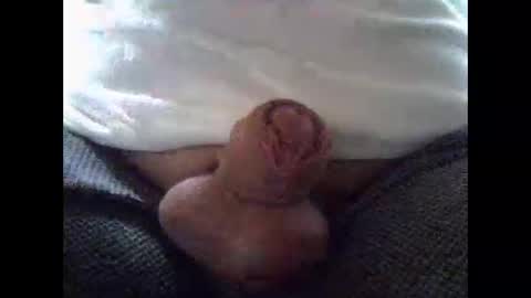 powerbengel online show from November 19, 8:46 am