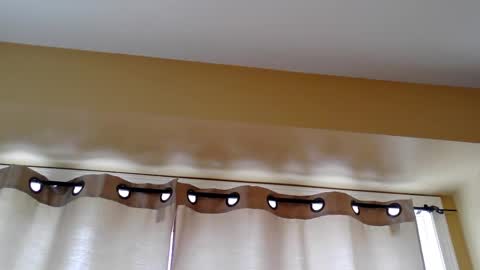 pretty_littletoy online show from March 5, 2:04 pm