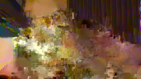 Snapshot of professor21255 chatting on September 20, 1:36 pm professor21255 online show from September 20, 1:36 pm