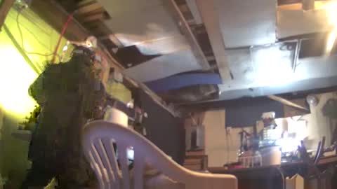 prophetof69 online show from January 22, 8:51 am