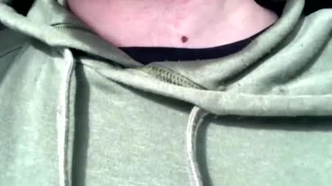 protostarr online show from February 7, 4:46 pm