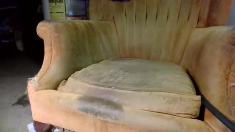 pspee313 online show from October 31, 11:05 pm