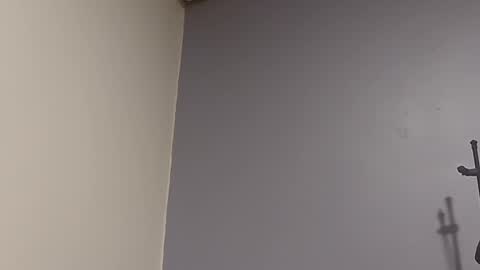 puertoricoparaiso online show from December 16, 4:34 am