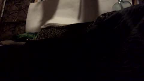 pumpslurrys online show from October 28, 2:45 am