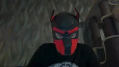 Pup Daedalus online show from December 5, 7:44 pm