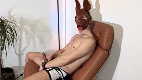 Pup Lynx  online show from February 20, 4:42 pm