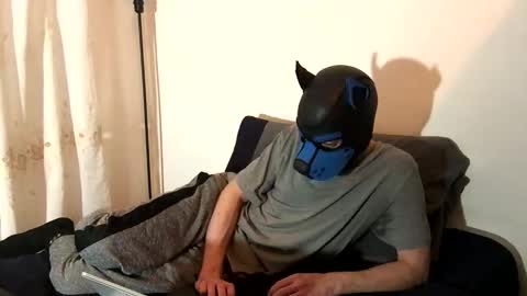 Toby online show from November 13, 8:11 pm