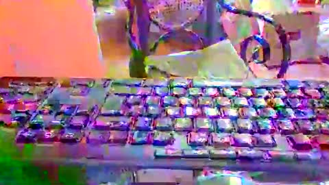 pup_y online show from January 10, 7:30 pm