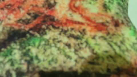 Sophy online show from February 16, 2:31 am