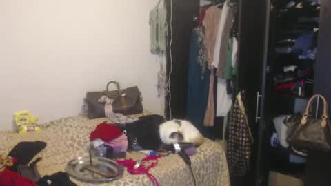 Nico online show from February 13, 4:00 am