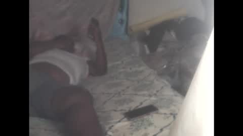 rachelexoticgirl online show from March 3, 3:35 am