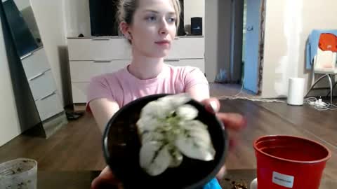 radish666 online show from May 28, 5:00 pm