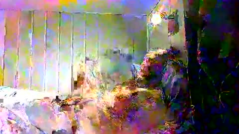 real_viking1 online show from December 17, 7:59 am