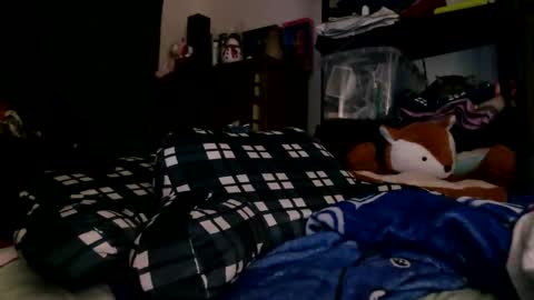 redderose online show from January 15, 2:09 am