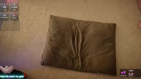 Redhead Shark online show from February 21, 9:40 pm