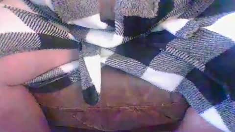 BBallzCan online show from January 5, 6:00 pm