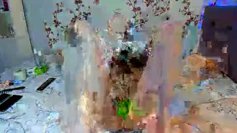 Alisa online show from October 7, 8:21 am