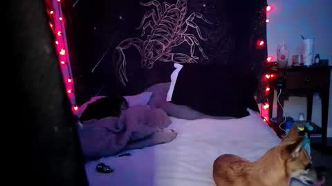 renascentpro online show from March 5, 4:16 pm