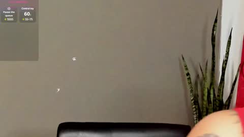 renatawilsom online show from February 7, 2:08 am