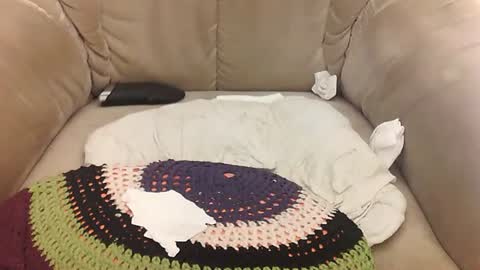 Mark online show from April 11, 7:45 am