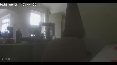 reza240782 online show from September 21, 4:44 pm