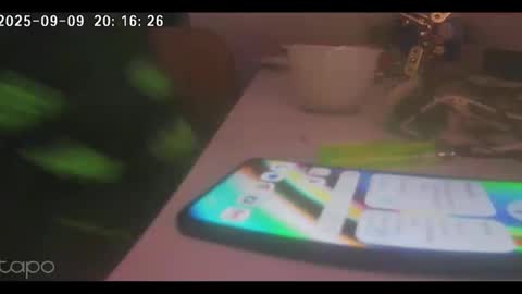 reza240782 online show from September 9, 7:14 pm