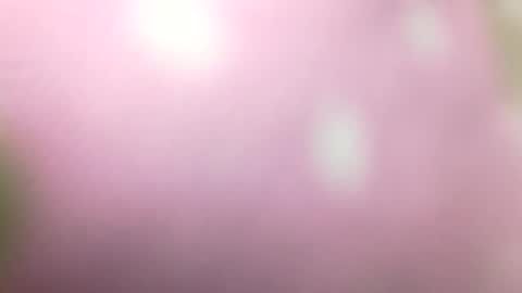 Shaved cock ready online show from January 1, 10:56 pm