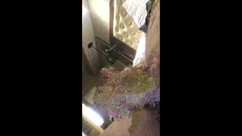 rich7665 online show from April 26, 4:59 pm