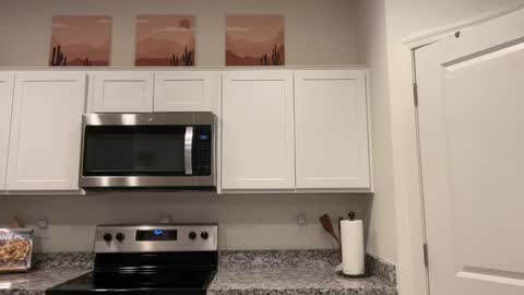 Richie online show from February 25, 12:25 am