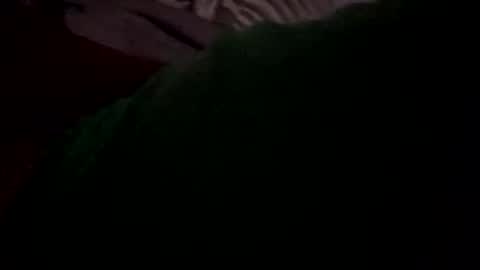 ricou83000 online show from February 11, 10:07 pm