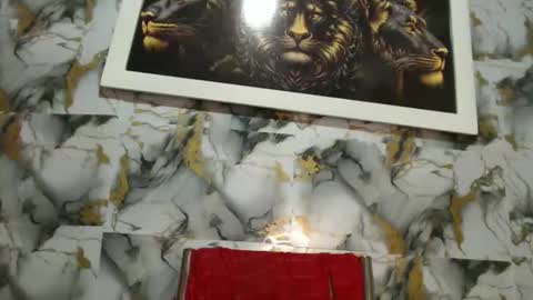 rigel online show from February 24, 6:33 pm