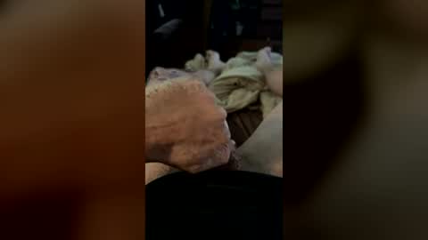 Riley online show from August 2, 5:26 pm
