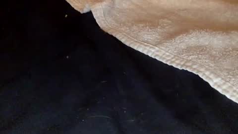 rimalova online show from December 20, 1:45 am