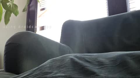 tatted ripped korean online show from December 24, 3:47 pm